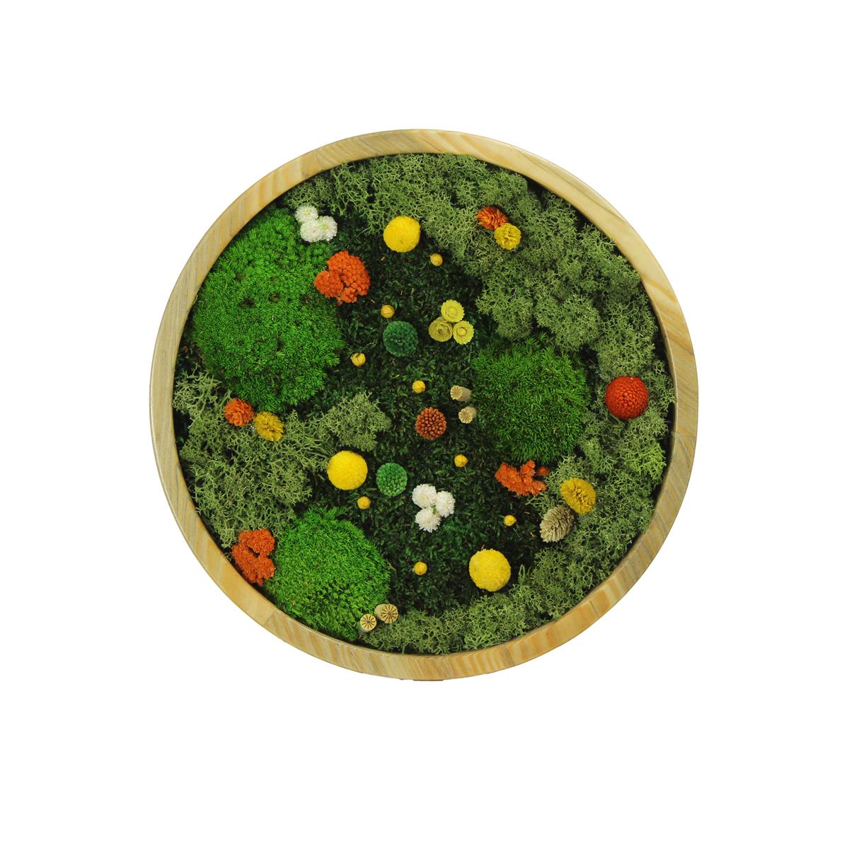 Yosun Tablo Magic Light Y1