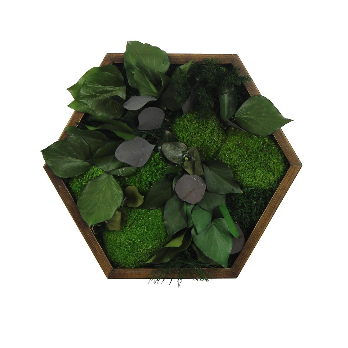 Yosun Tablo Natural Brown A1