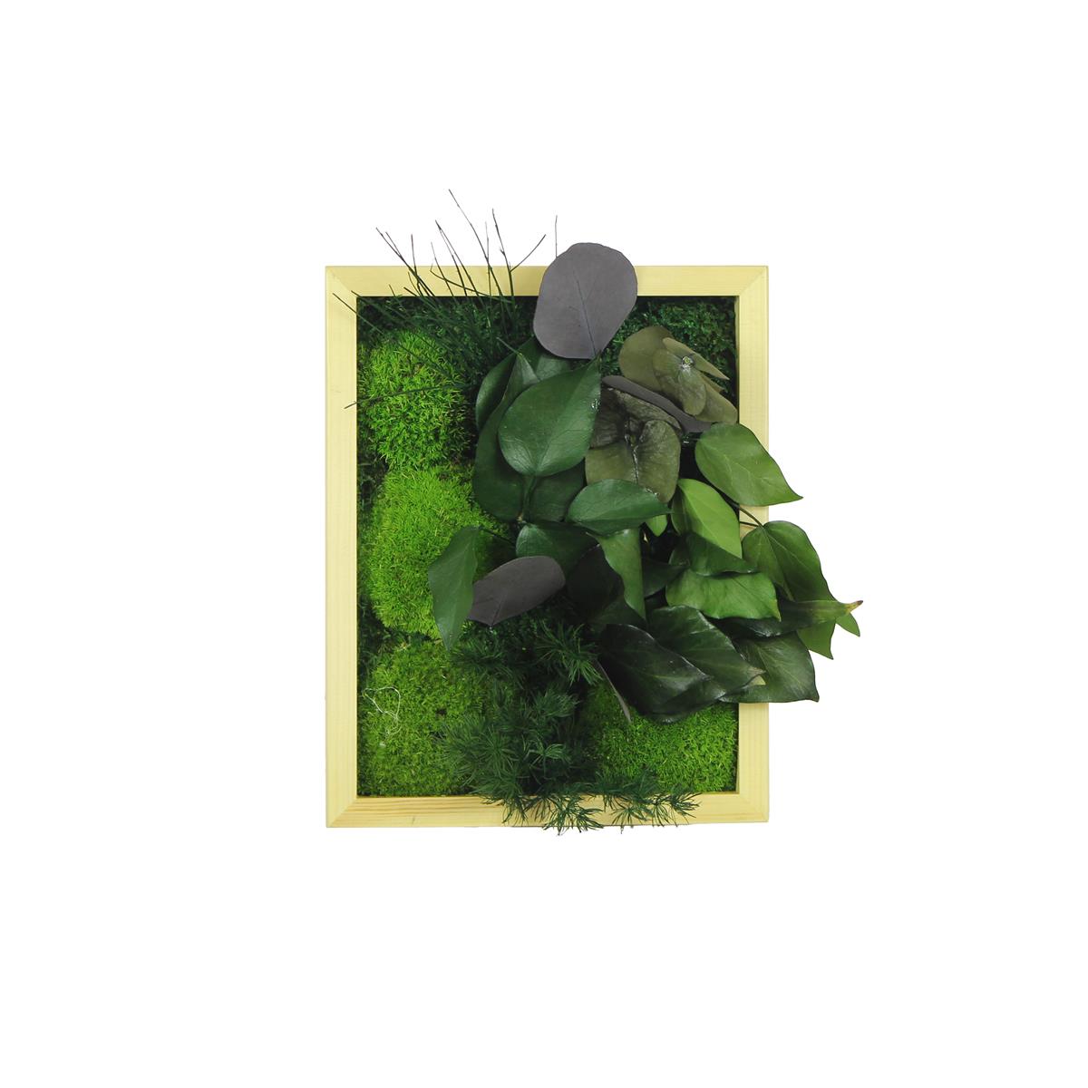 Yosun Tablo Natural Light D2