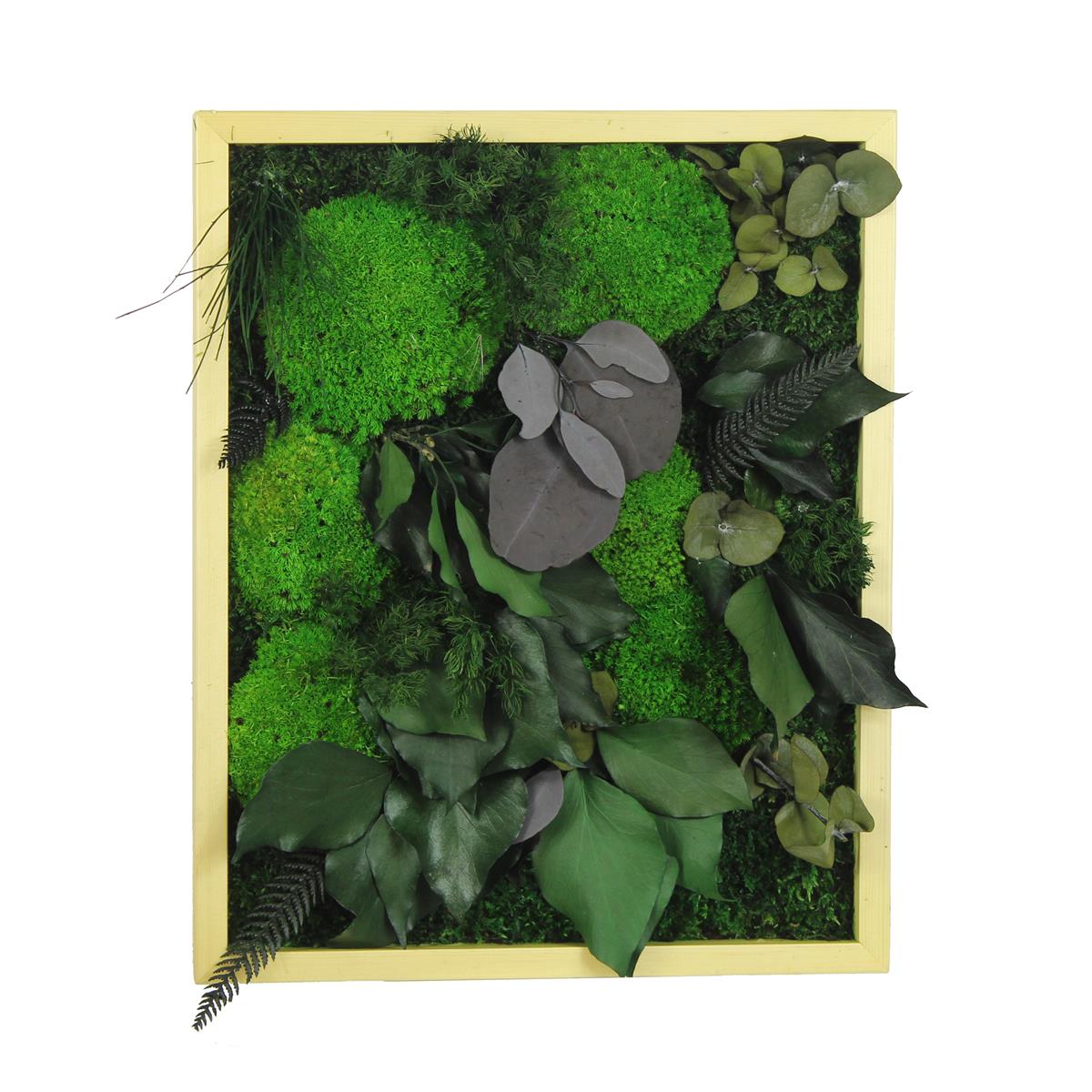 Yosun Tablo Natural Light D3