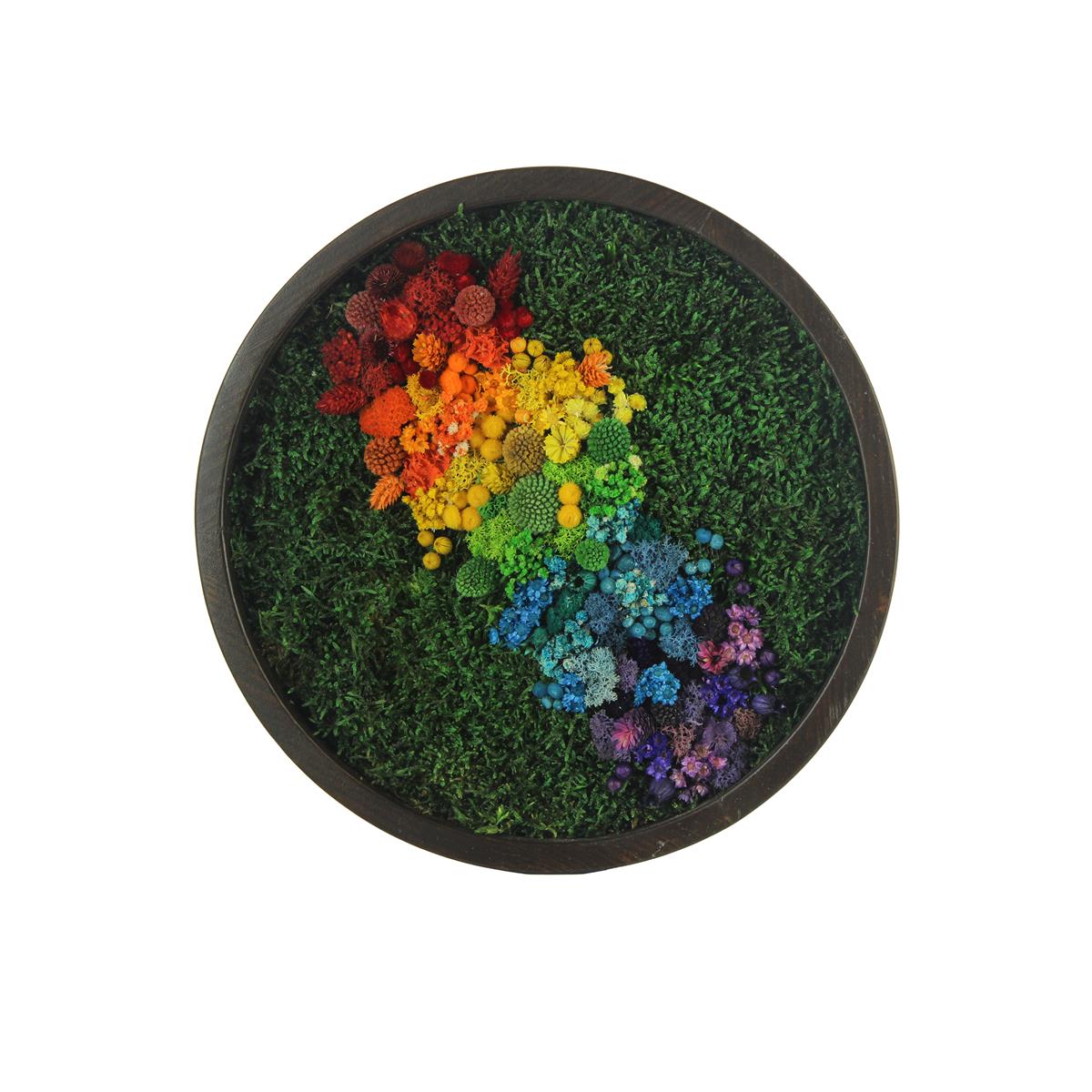 Yosun Tablo Rainbow Brown Y1