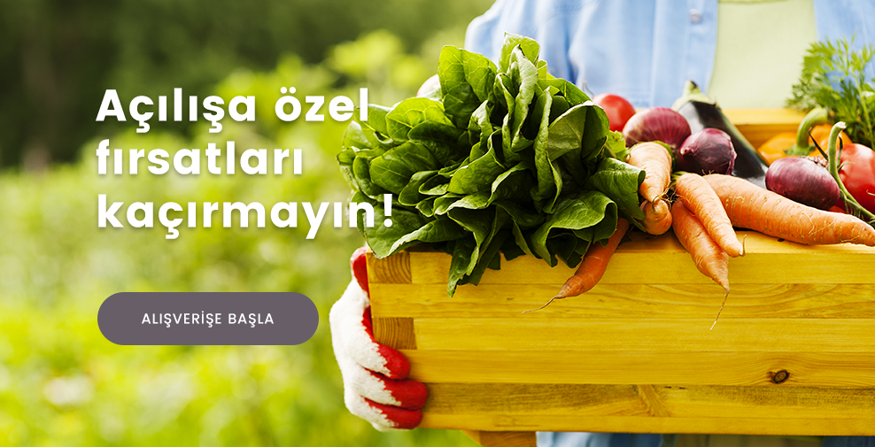 test slider