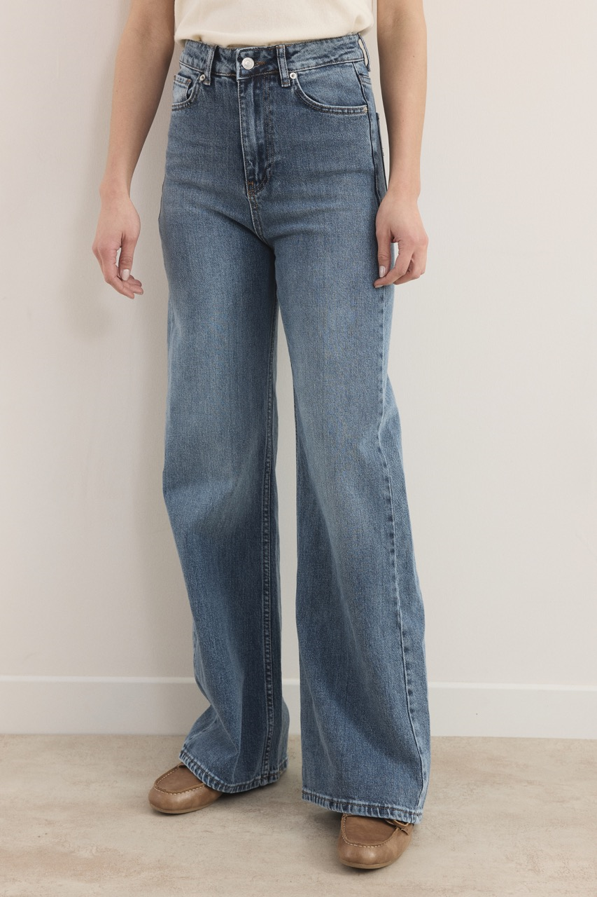 Regular Fit Denim Pantolon - Buz Mavisi