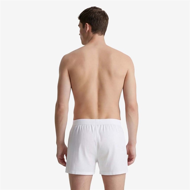 Andrea Giovanni Erkek Erkek Boxer 1083