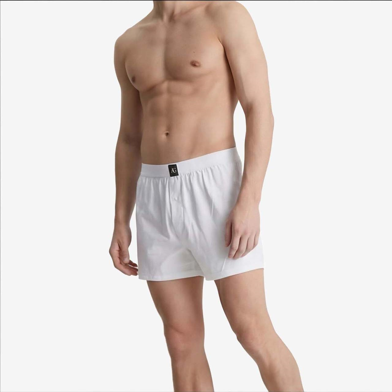 Andrea Giovanni Erkek Erkek Boxer 1083