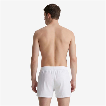 Andrea Giovanni Erkek Erkek Boxer 1083