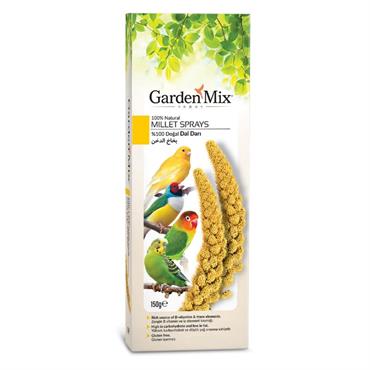 Gardenmix Platin Sarı Dal Darı