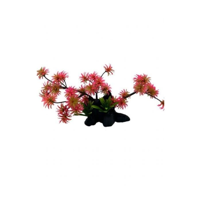 Aqua Master 4000077 Bonzai Bitki Kırmızı