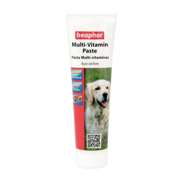 Beaphar Multi-Vitamin Paste Köpek Vitamin Macunu 100gr