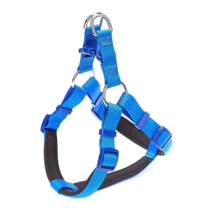 Doggie Konforlu Dokumadan El Yapımı Ronin Model Köpek Göğüs Tasması L-2x55-65cm - Royal Blue