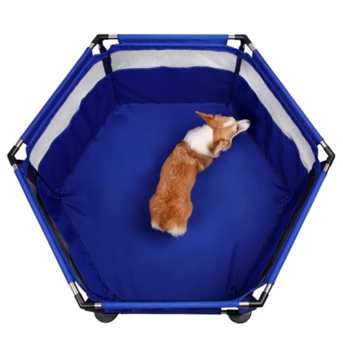 Dubex Pet Park Parliament Mavi