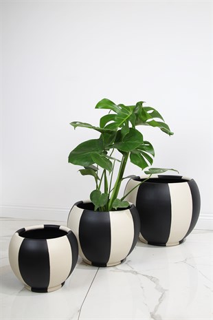 Armoni İç Dekorasyon Saksı Grubu