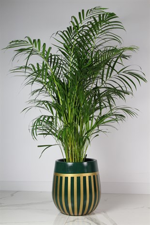 Hitit Gold Yeşil Tekli İç Dekorasyon Saksı