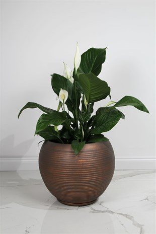 Küre Siyah Bakır İç Dekorasyon Saksı