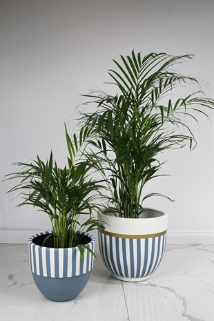 Mostar İç Dekorasyon Saksı Grubu