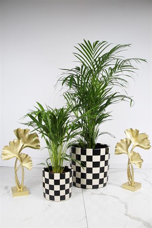 Şah Damalı İç Dekorasyon Saksı