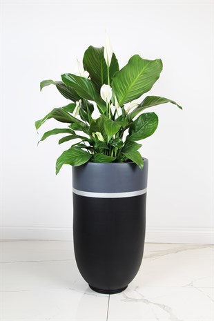 Terra Antrasit Siyah İç Dekorasyon Saksı