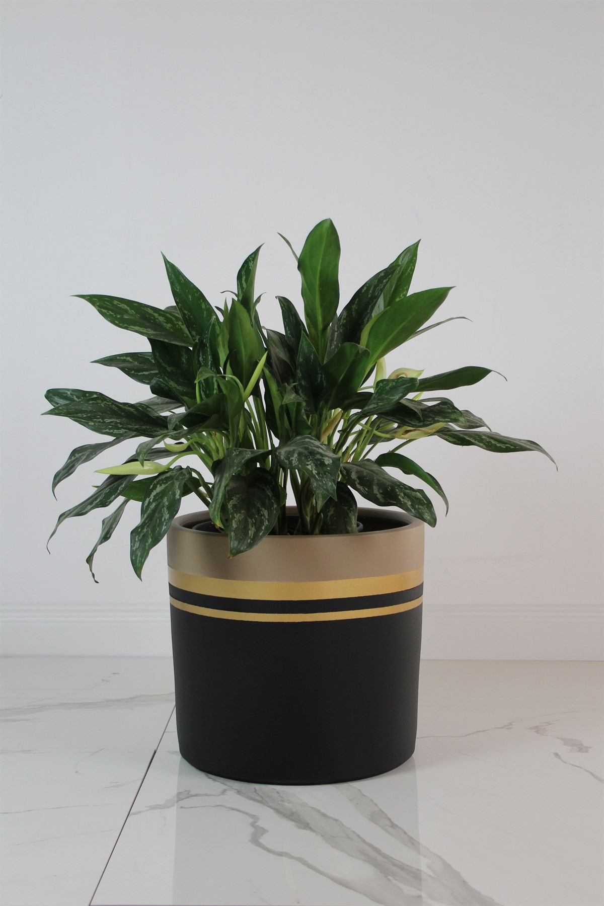 Orion Bej Siyah 36cmx34cm Saksı