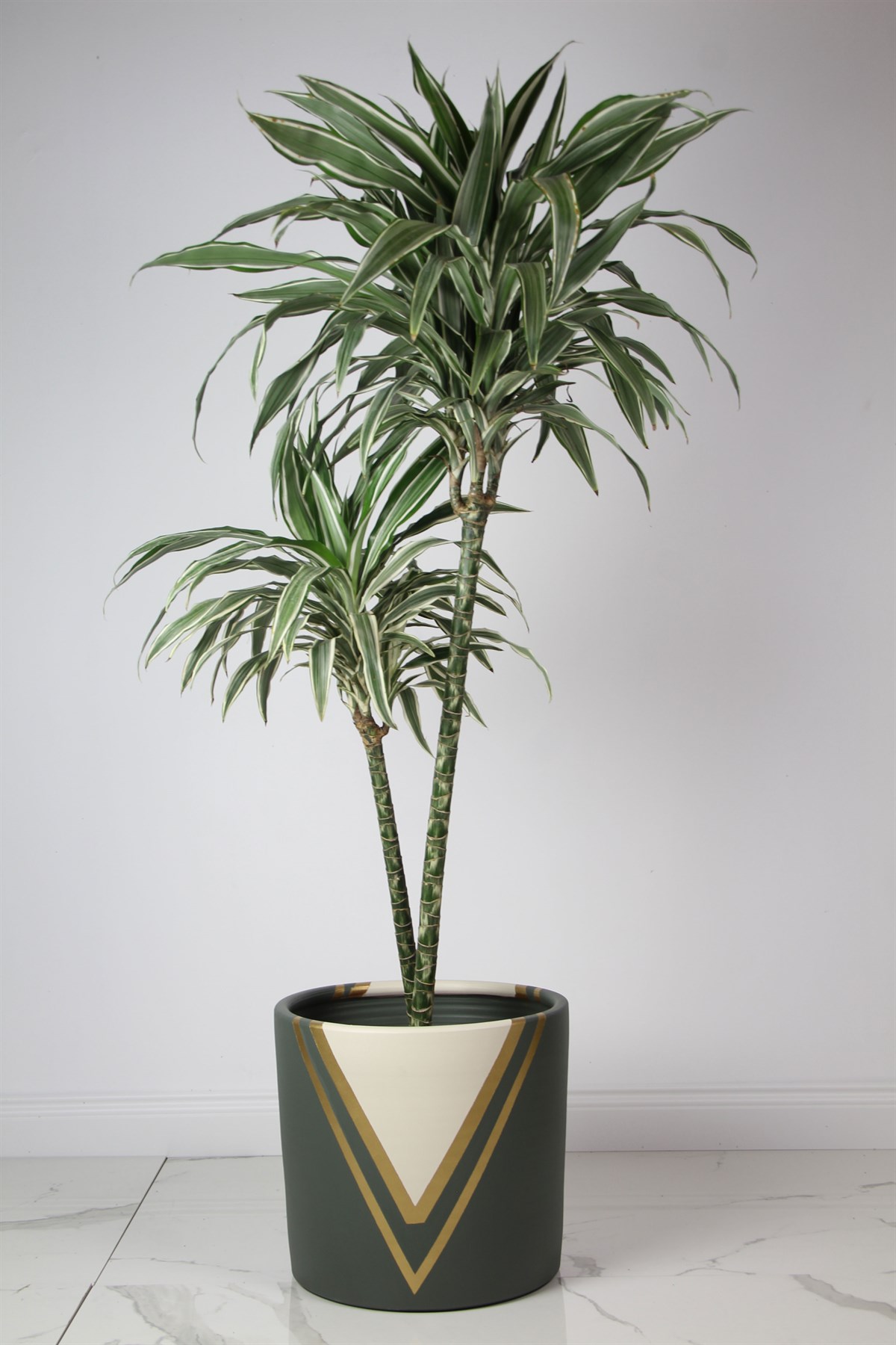 Orion V Şekil Yeşil 36cmx34cm Saksı 