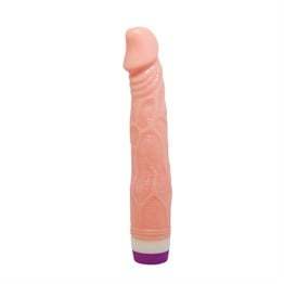 Multi Speed Vibrator