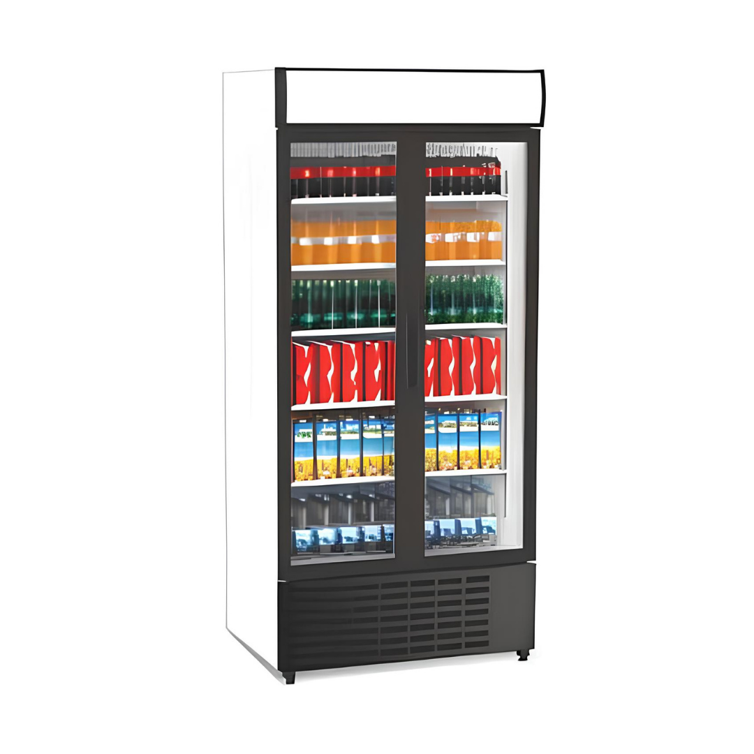 İki Kapılı Kanopili Çarpma Kapı Dik Tip Şişe Soğutucu - Siyah