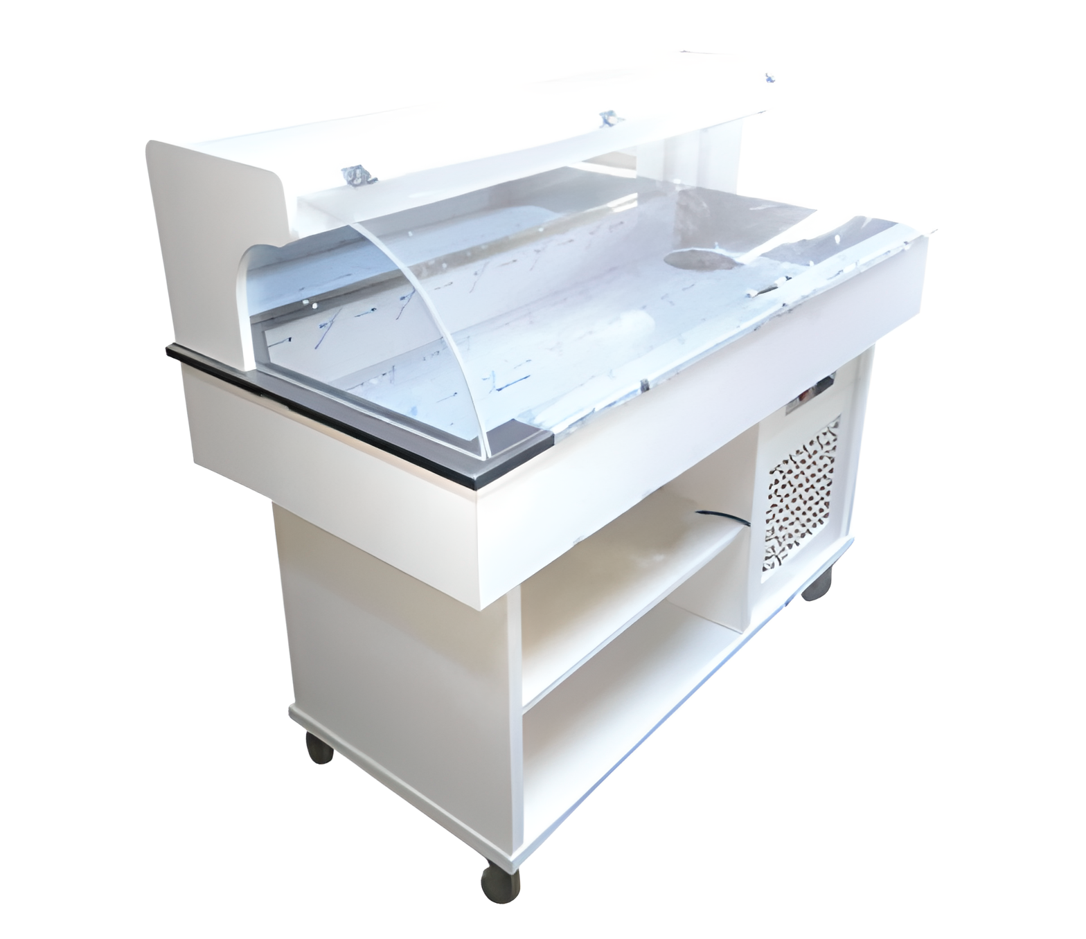 1070/B-Balık Teşhir Dolabı