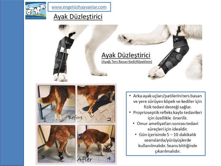 ayak düzleştirici