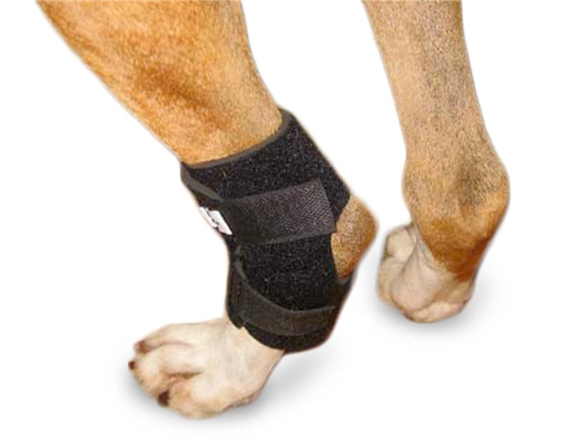 Arka Ayak Eklem Bandajı