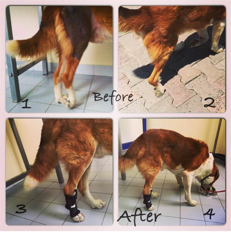 Ayak Duzlestirici - Medium/Large