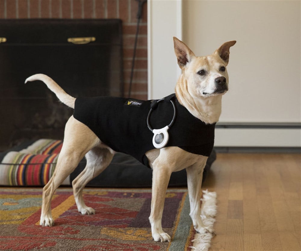 Ağrı Giderici - Manyetik Loop