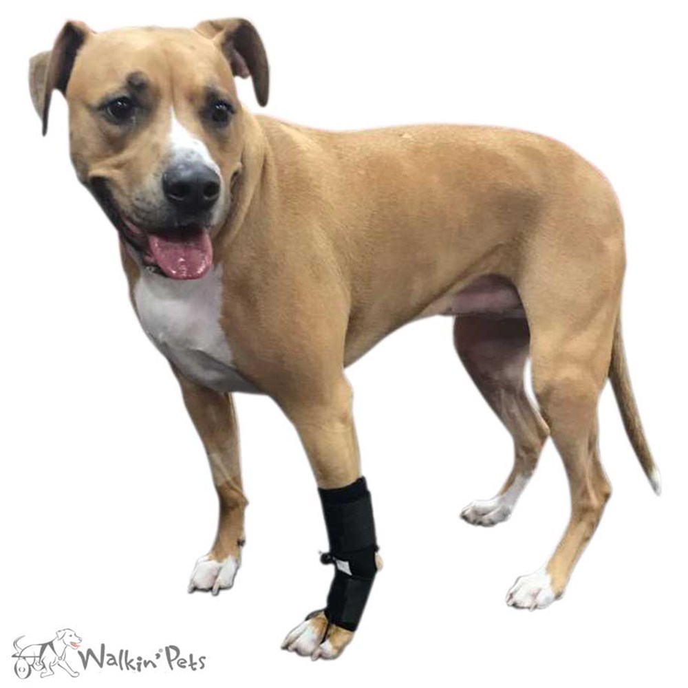 Ön Ayak Düzleştirici