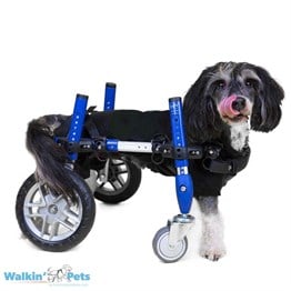 4 Tekerlekli Köpek Yürüteç - Small