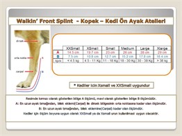 Ön Ayak icin Atel