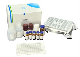 Aflatoxin B1 ELISA Test Kit / 96