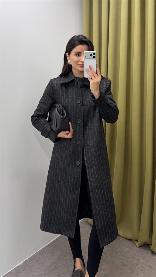 Çizgili Siyah Kaban