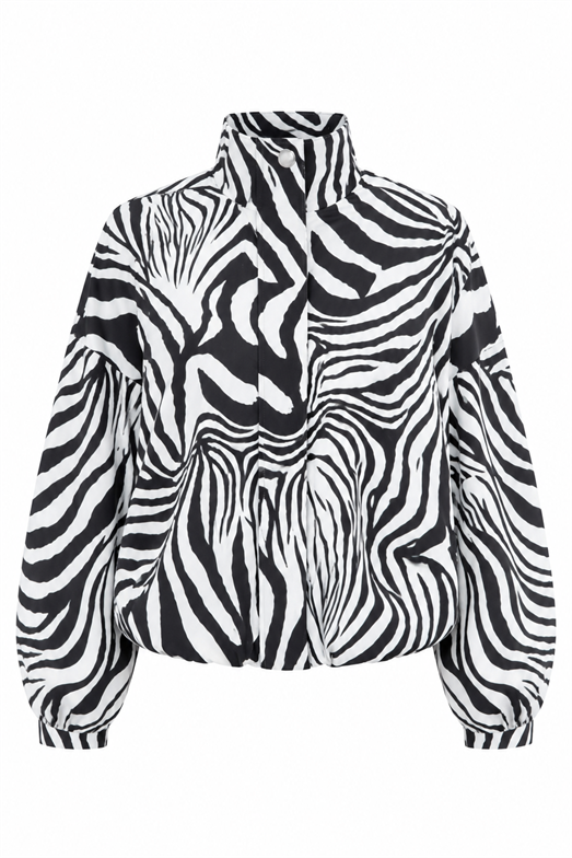 Zebra Bomber Mont
