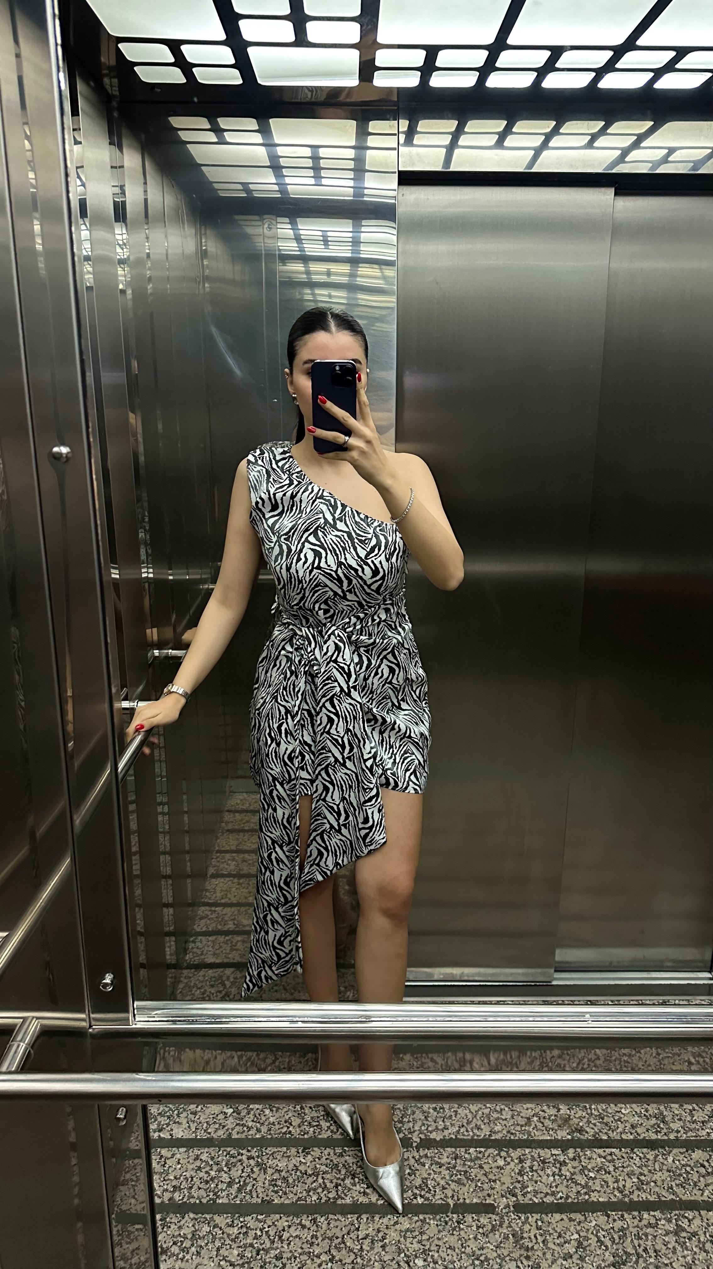 Kuşaklı Zebra Elbise