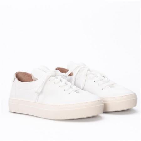 Gusse Chıage Kadın Hakiki Deri Sneaker Ayakkabı 10600