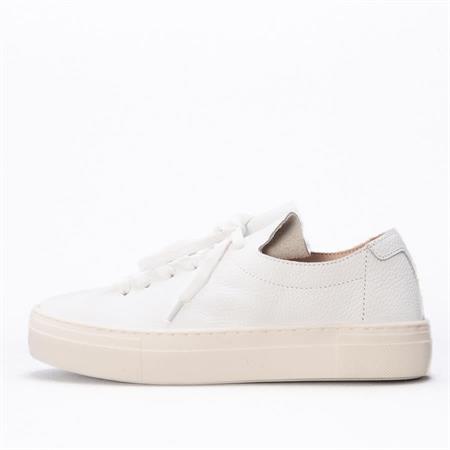 Gusse Chıage Kadın Hakiki Deri Sneaker Ayakkabı 10600