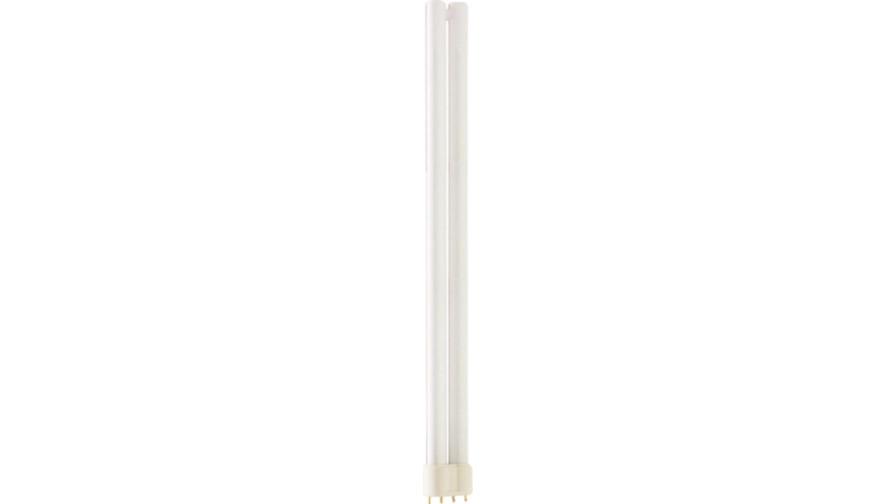 PL-L 36W/865 4P 2G11 PHILIPS