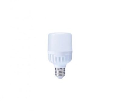 CT4329 13W BEYAZ YÜKSEK WATT LED AMPUL E27 CATA