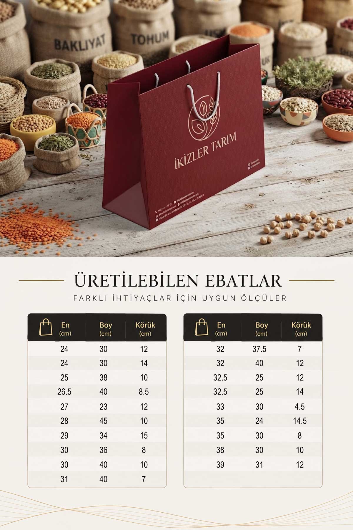 Baskılı Promosyon Karton Çanta-PB2701