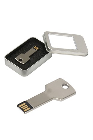 Anahtar Modeli USB Bellek