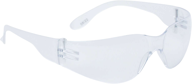 Delta Plus Brava2 AB Şeffaf Koruyucu Gözlük  
