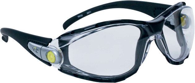 Delta Plus Pacaya Lyviz Şeffaf Koruyucu Gözlük  