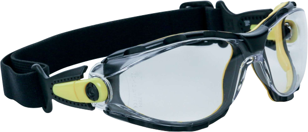 Delta Plus Pacaya Strap Kayışlı Şeffaf Koruyucu Gözlük  