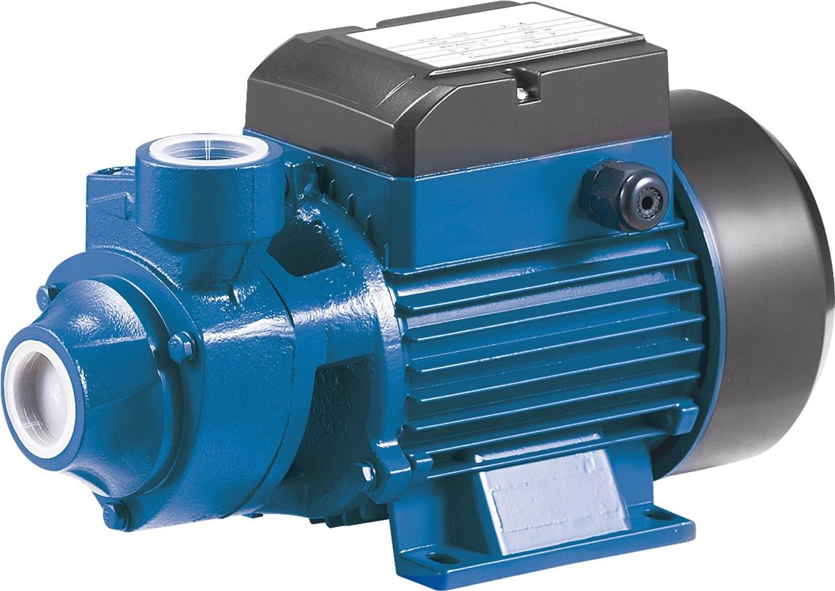 Rainpump QB80-1 HP Santrifüj Pompa