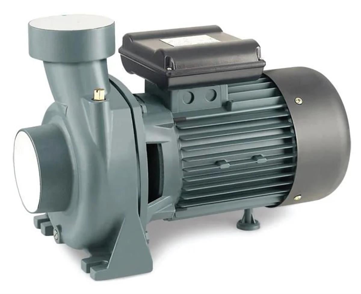 Rainpump SHFM5AM Santrifüj Pompa