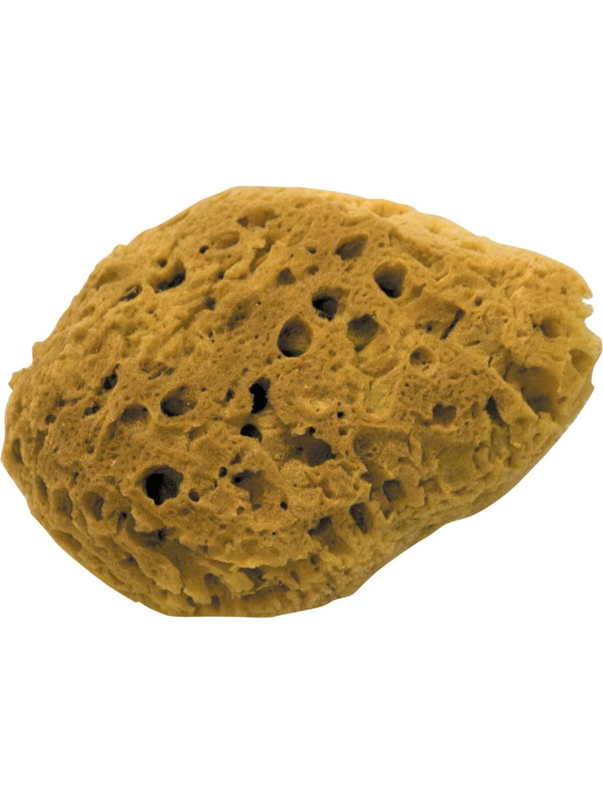 Dekor 1473 Doğal Deniz Süngeri 13 CM