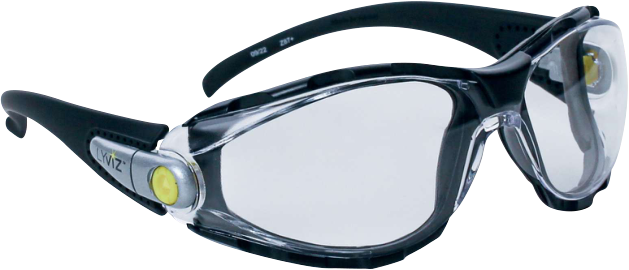 Delta Plus Pacaya Lyviz Şeffaf Koruyucu Gözlük  